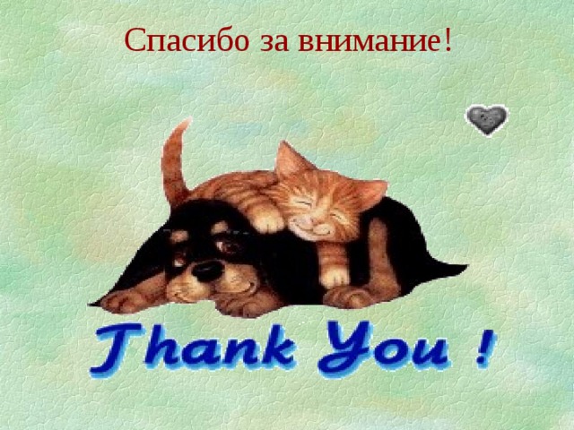 Спасибо за внимание! 