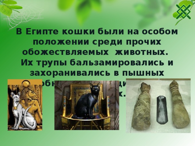 В Египте кошки были на особом положении среди прочих обожествляемых животных.  Их трупы бальзамировались и захоранивались в пышных гробницах на специальных кладбищах. 