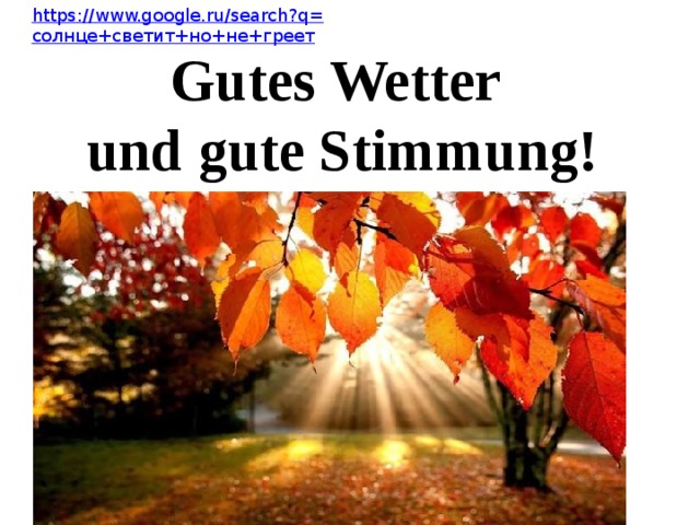 https://www.google.ru/search?q= солнце+светит+но+не+греет Gutes Wetter und gute Stimmung! 