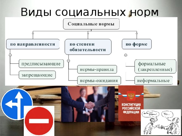 Виды социальных норм 