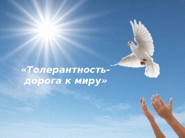  «Толерантность- дорога к миру»   