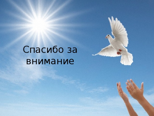   Спасибо за внимание   