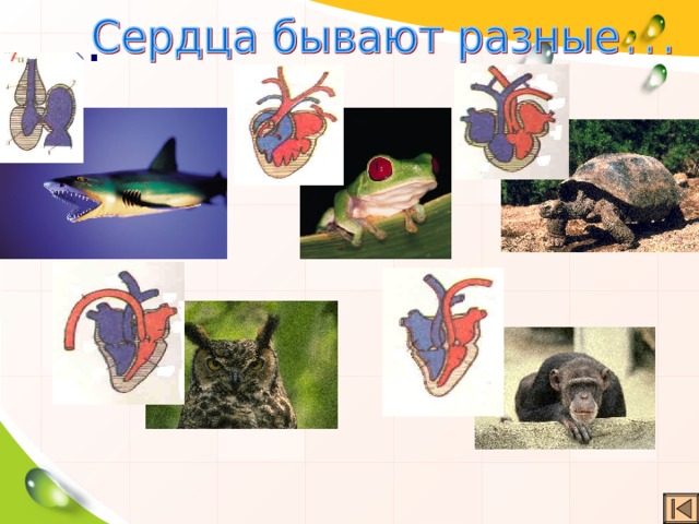 … 