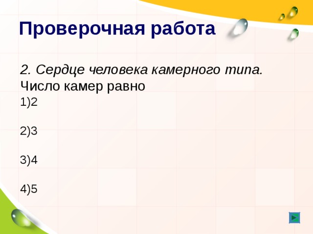 Проверочная работа 2. Сердце человека камерного типа.  Число камер равно 2  3  4  5 