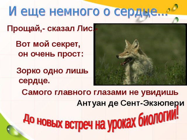 Прощай,- сказал Лис.- Вот мой секрет,  он очень прост: Зорко одно лишь  сердце. Самого главного глазами не увидишь Антуан де Сент-Экзюпери 