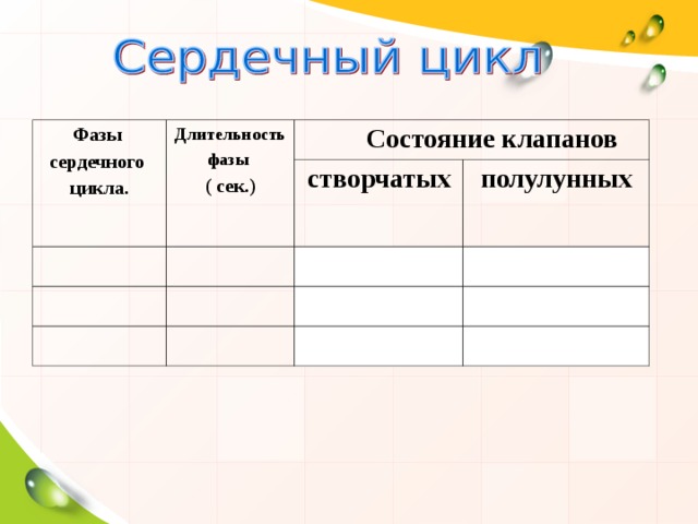 Фазы сердечного цикла. Длительность фазы  ( сек.)  Состояние клапанов створчатых полулунных  