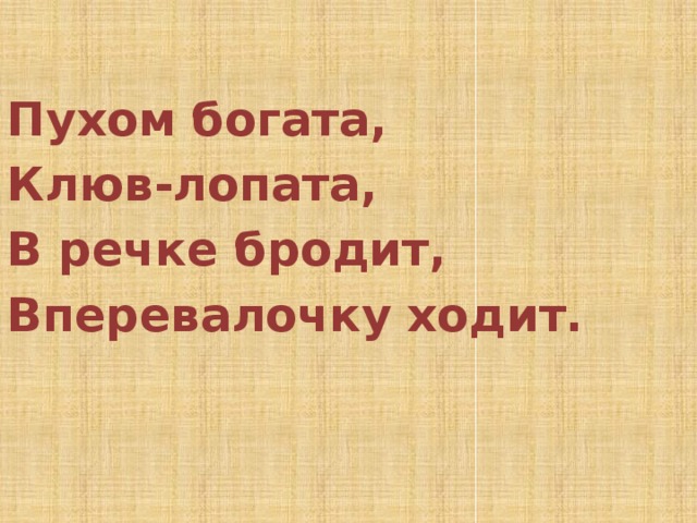  Пухом богата, Клюв-лопата, В речке бродит, Вперевалочку ходит. 