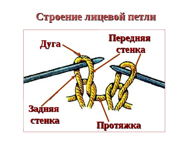 Строение лицевой петли Передняя стенка Дуга Задняя стенка Протяжка 