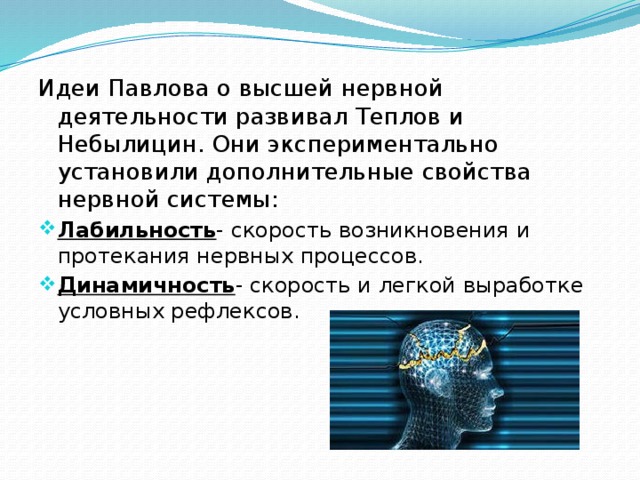 Идеи Павлова о высшей нервной деятельности развивал Теплов и Небылицин. Они экспериментально установили дополнительные свойства нервной системы: Лабильность - скорость возникновения и протекания нервных процессов. Динамичность - скорость и легкой выработке условных рефлексов. 