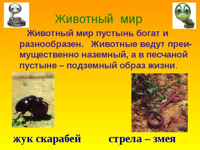 Животный мир  Животный мир пустынь богат и разнообразен . Животные ведут преи-мущественно наземный , а в песчаной пустыне – подземный образ жизни .   жук скарабей стрела – змея 