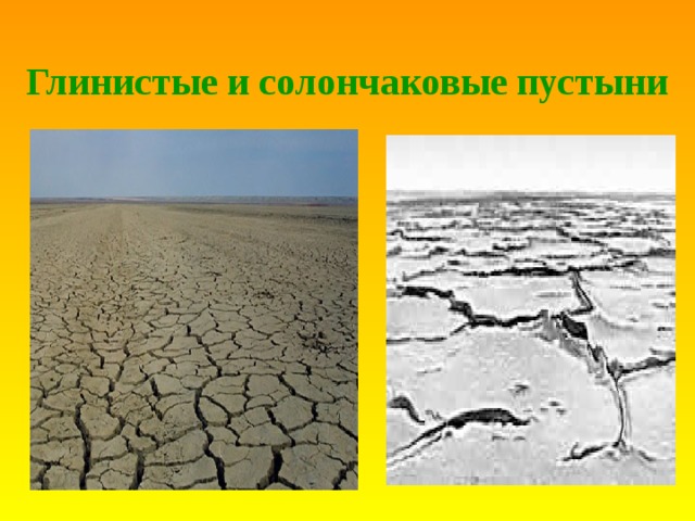 Глинистые и солончаковые пустыни  