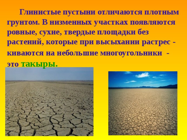  Глинистые пустыни отличаются плотным грунтом . В низменных участках появляются  ровные , сухие , твердые площадки без растений , которые при высыхании растрес - киваются на небольшие многоугольники -  это  такыры. 