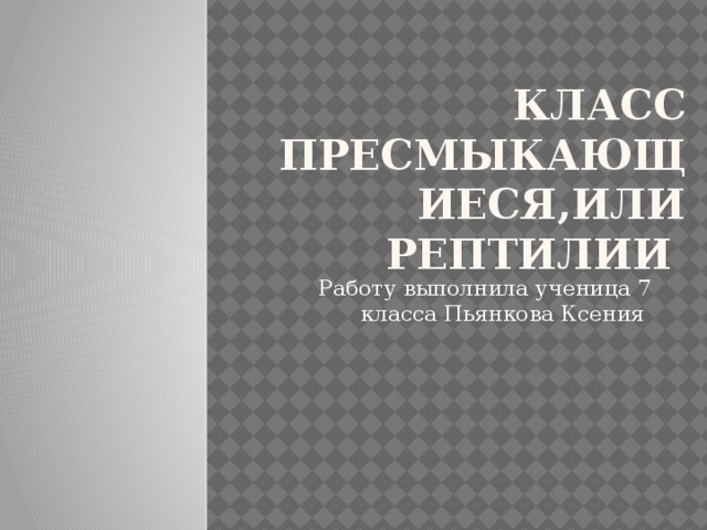 Класс пресмыкающиеся,или рептилии Работу выполнила ученица 7 класса Пьянкова Ксения 