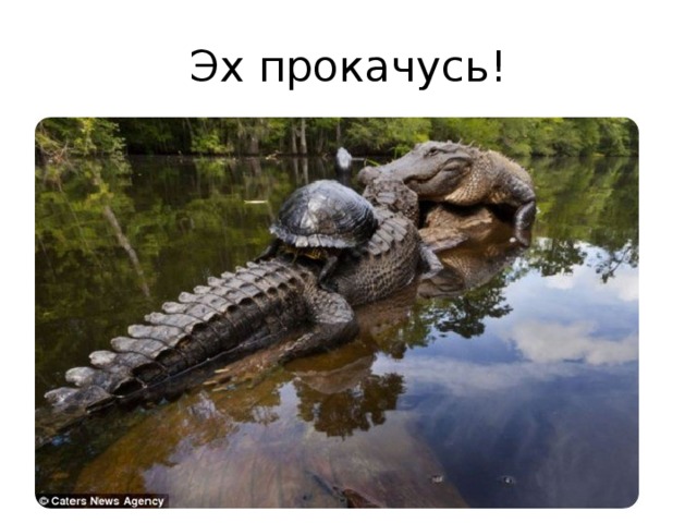 Эх прокачусь! 