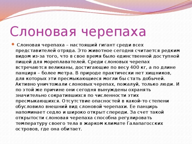 Слоновая черепаха   Слоновая черепаха – настоящий гигант среди всех представителей отряда. Это животное сегодня считается редким видом из-за того, что в свое время было единственной доступной пищей для мореплавателей. Среди слоновых черепах встречаются великаны, достигающие по весу 400 кг, а по длине панциря – более метра. В природе практически нет хищников, для которых эти пресмыкающиеся могли бы стать добычей. Активно уничтожали слоновых черепах, пожалуй, только люди. И по этой же причине они сегодня вынуждены охранять значительно сократившихся по численности этих пресмыкающихся. Отсутствие опасностей в какой-то степени обусловило внешний вид слоновой черепахи. Ее панцирь напоминает седло и широко открыт спереди. За счет такой открытости слоновая черепаха способна регулировать температуру своего тела в жарком климате Галапагосских островов, где она обитает. 