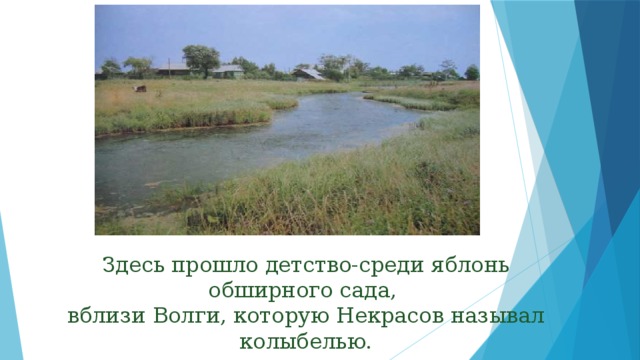 Здесь прошло детство-среди яблонь обширного сада, вблизи Волги, которую Некрасов называл колыбелью. 