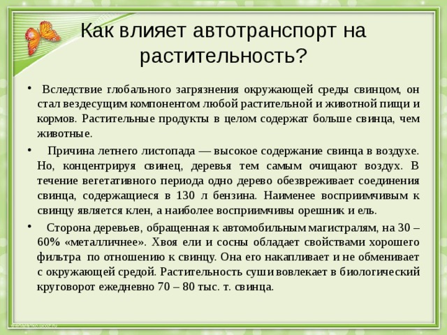 Как влияет автотранспорт на растительность?  Вследствие глобального загрязнения окружающей среды свинцом, он стал вездесущим компонентом любой растительной и животной пищи и кормов. Растительные продукты в целом содержат больше свинца, чем животные.  Причина летнего листопада — высокое содержание свинца в воздухе. Но, концентрируя свинец, деревья тем самым очищают воздух. В течение вегетативного периода одно дерево обезвреживает соединения свинца, содержащиеся в 130 л бензина. Наименее восприимчивым к свинцу является клен, а наиболее восприимчивы орешник и ель.  Сторона деревьев, обращенная к автомобильным магистралям, на 30 – 60% «металличнее». Хвоя ели и сосны обладает свойствами хорошего фильтра по отношению к свинцу. Она его накапливает и не обменивает с окружающей средой. Растительность суши вовлекает в биологический круговорот ежедневно 70 – 80 тыс. т. свинца. 