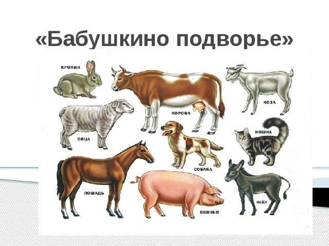 «Бабушкино подворье» 