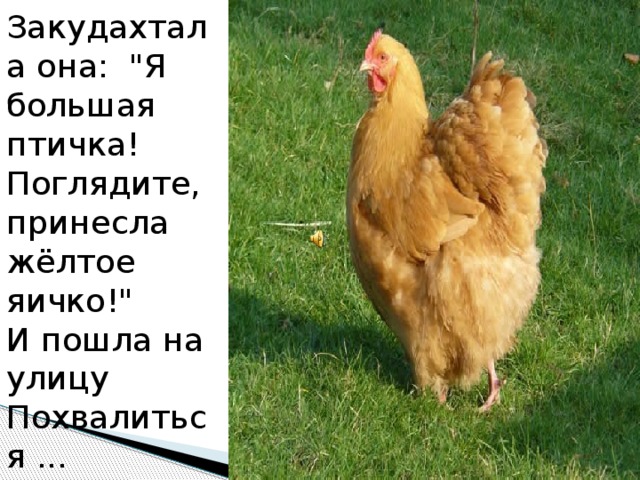 Закудахтала она:  