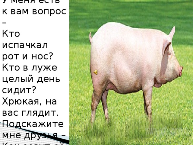 У меня есть к вам вопрос –  Кто испачкал рот и нос?  Кто в луже целый день сидит?  Хрюкая, на вас глядит.  Подскажите мне друзья –  Как зовут её 