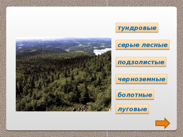 тундровые серые лесные подзолистые черноземные болотные луговые 