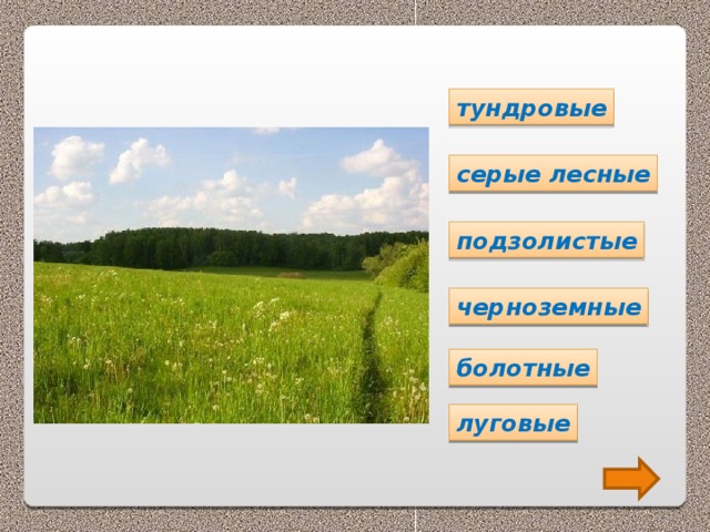тундровые серые лесные подзолистые черноземные болотные луговые 