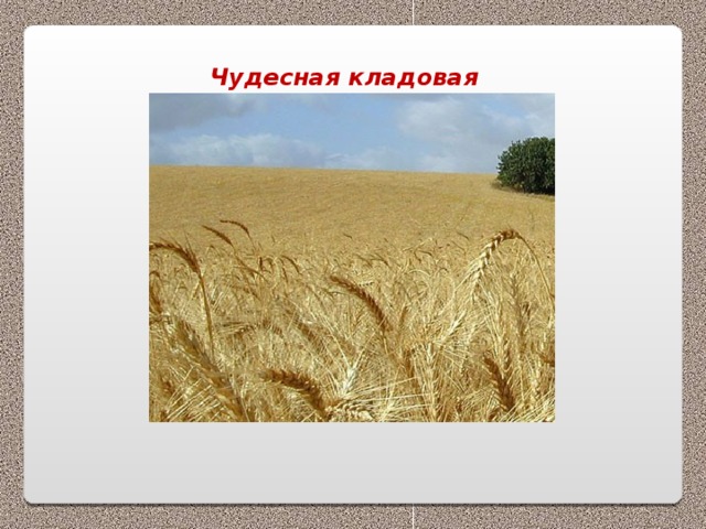 Чудесная кладовая 
