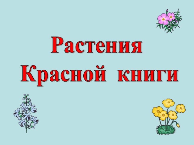 Растения 