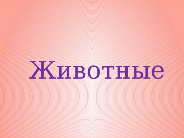 Животные 