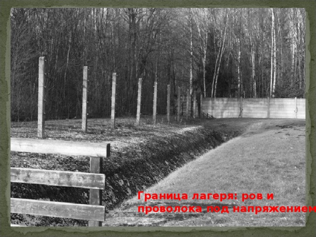 Граница лагеря: ров и проволока под напряжением. 