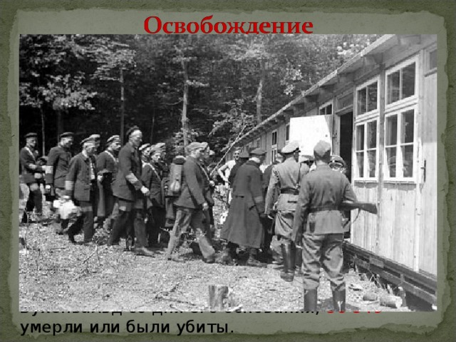 В начале апреля 1945 эсэсовцы вывезли из лагеря несколько тысяч евреев. Однако осуществить массовую эвакуацию заключенных, намеченную на 5 апреля 1945 года, нацистам не удалось. В последние недели существования Бухенвальда здесь возникла подпольная вооруженная организация. Когда 11 апреля 1945 г . в Бухенвальд вошли американские войска, организация уже осуществляла контроль над лагерем. Из 238 380 заключенных, прошедших через Бухенвальд со дня его основания, 56 549 умерли или были убиты. 