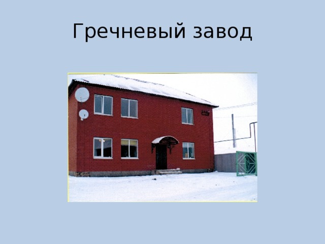 Гречневый завод 