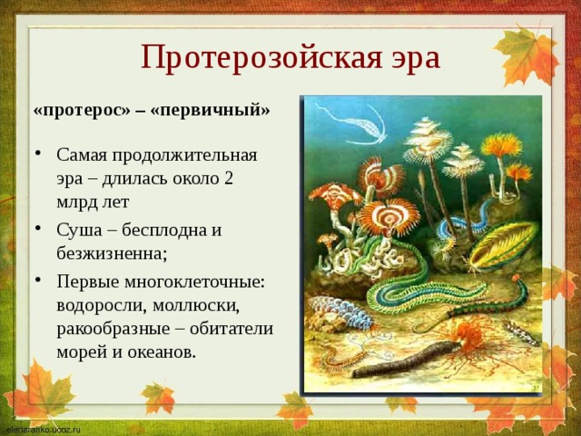 Протерозойская эра «протерос» – «первичный» Самая продолжительная эра – длилась около 2 млрд лет Суша – бесплодна и безжизненна; Первые многоклеточные: водоросли, моллюски, ракообразные – обитатели морей и океанов.  