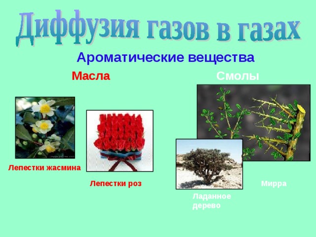 Ароматические вещества Масла Смолы Лепестки жасмина Лепестки роз Мирра Ладанное дерево 