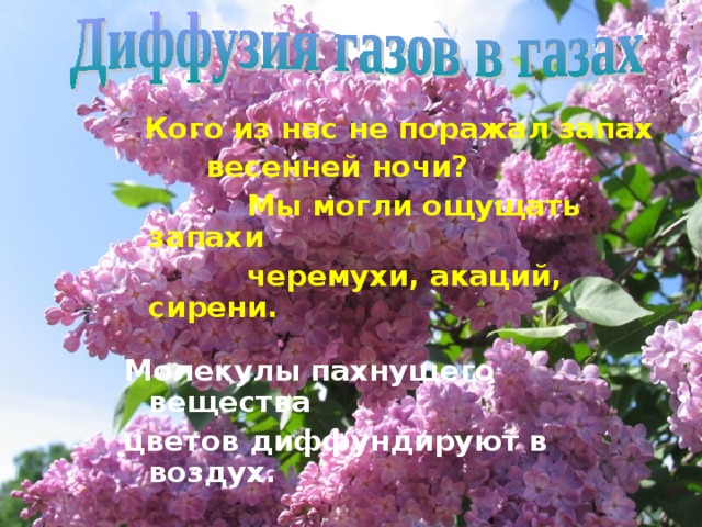  Кого из нас не поражал запах  весенней ночи?  Мы могли ощущать запахи  черемухи, акаций, сирени.  Молекулы пахнущего вещества цветов диффундируют в воздух. 