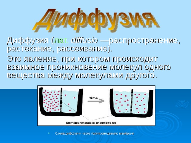 Диффузия ( лат.   diffusio —распространение, растекание, рассеивание). Это явление, при котором происходит взаимное проникновение молекул одного вещества между молекулами другого. Схема диффузии через полупроницаемую мембрану 