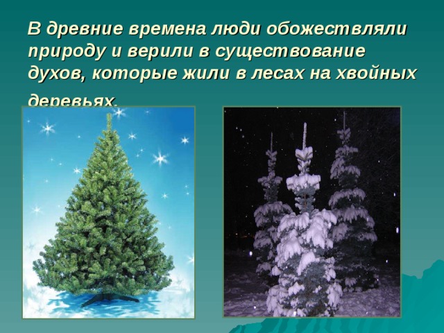 В древние времена люди обожествляли природу и верили в существование духов, которые жили в лесах на хвойных деревьях.  