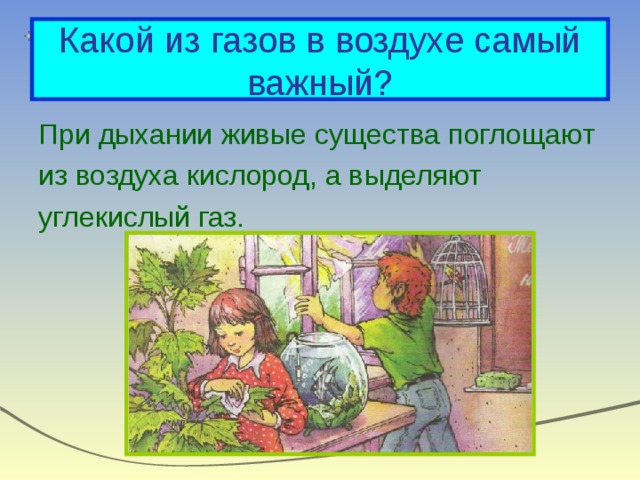 Какой из газов в воздухе самый важный? При дыхании живые существа поглощают из воздуха кислород, а выделяют углекислый газ. 