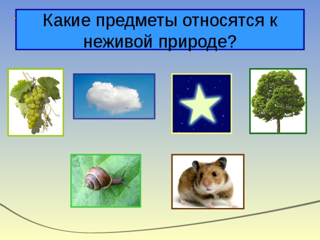 Какие предметы относятся к неживой природе? 