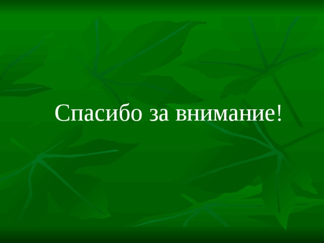  Спасибо за внимание! 