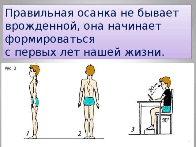 Правильная осанка не бывает врожденной, она начинает формироваться с первых лет нашей жизни. 