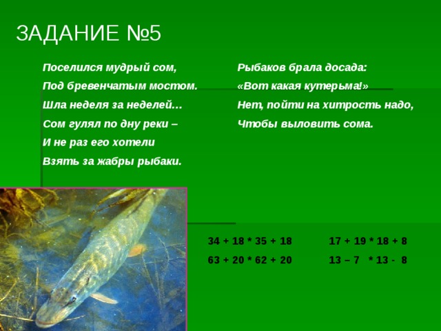 ЗАДАНИЕ №5  Поселился мудрый сом,  Рыбаков брала досада:  Под бревенчатым мостом.  «Вот какая кутерьма!»  Шла неделя за неделей…  Нет, пойти на хитрость надо,  Сом гулял по дну реки –  Чтобы выловить сома.  И не раз его хотели  Взять за жабры рыбаки. 34 + 18 * 35 + 18 17 + 19 * 18 + 8 63 + 20 * 62 + 20 13 – 7 * 13 - 8 