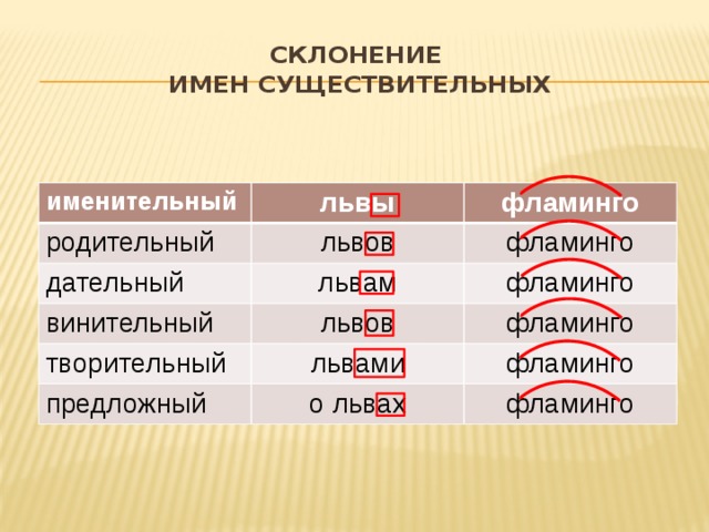 Склонение  имен существительных именительный львы родительный дательный львов фламинго львам винительный фламинго фламинго творительный львов львами фламинго предложный фламинго о львах фламинго 