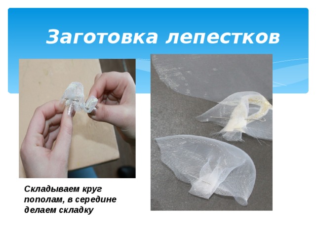 Складываем круг пополам, в середине делаем складку Заготовка лепестков 