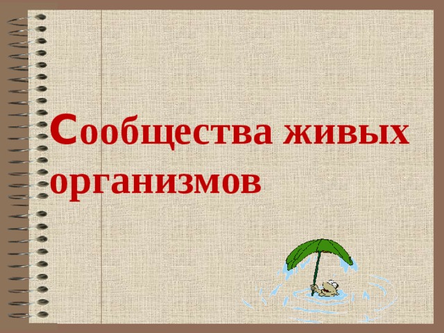  C ообщества живых организмов 