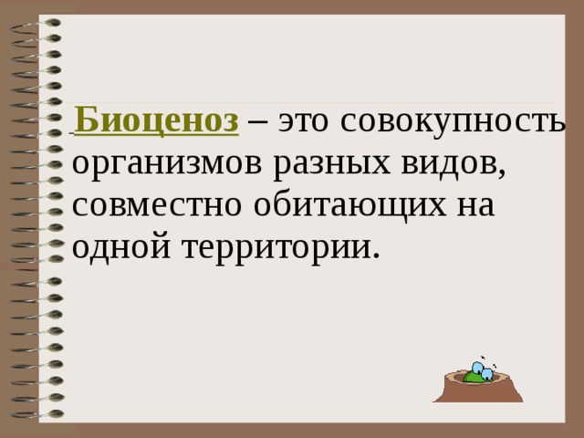    Биоценоз – это совокупность организмов разных видов, совместно обитающих на одной территории. 