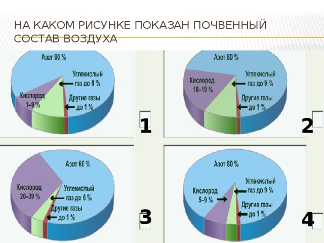 На каком рисунке показан почвенный состав воздуха 1 2 3 4 
