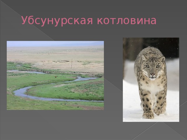 Убсунурская котловина