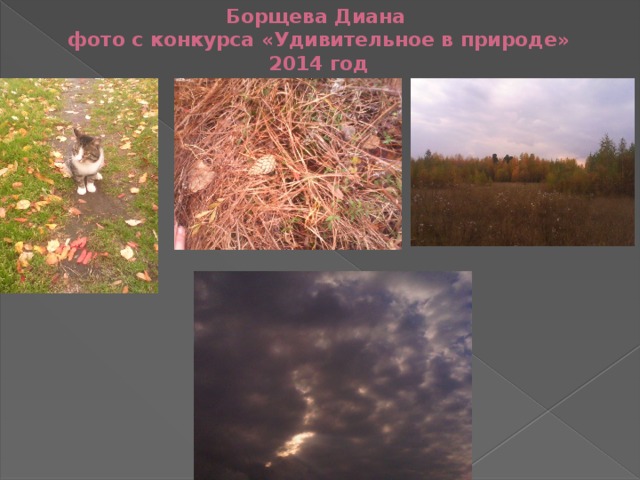 Борщева Диана  фото c конкурса «Удивительное в природе» 2014 год