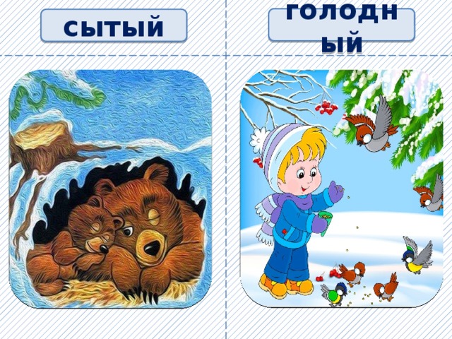 голодный сытый 